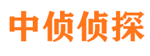 内黄市调查公司